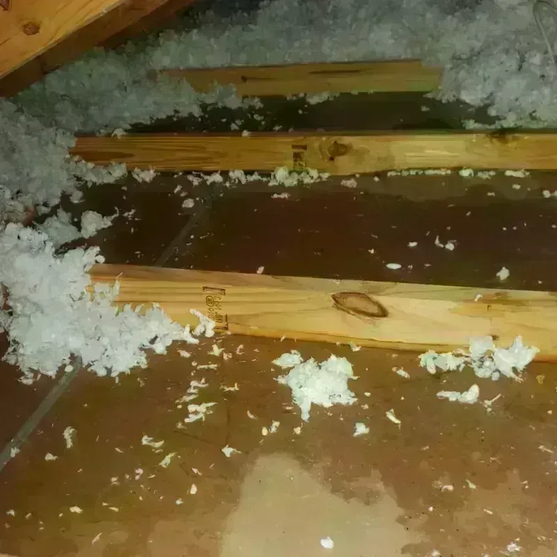 Attic Water Damage in Buffalo, SC