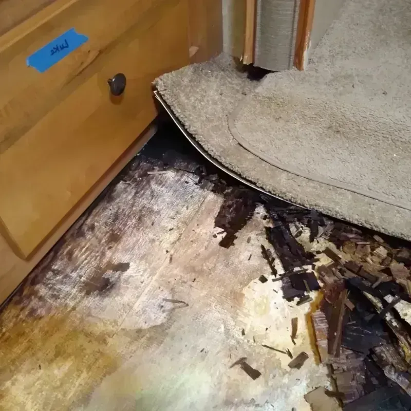 Wood Floor Water Damage in Buffalo, SC